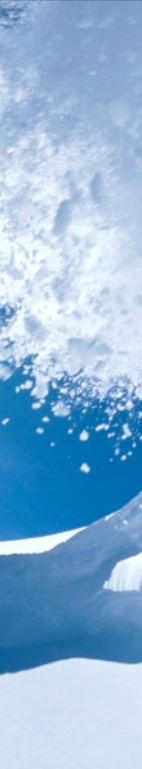 Snow Scene on Bobskis.com